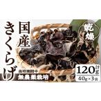 ふるさと納税 野菜類 きのこ 鹿児島県 曽於市 国産きくらげ(計120g・3袋)国産 キクラゲ 常温 九南サービス(タマチャンショップ) A501