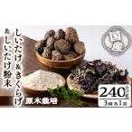 ふるさと納税 野菜類 きのこ 鹿児島県 曽於市 しいたけ＋しいたけ粉末＋きくらげセット(合計240g・3種) しいたけ きのこ キクラゲ 九南サービス(タマチャンシ…