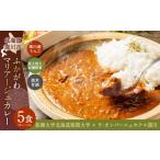 加工品等 レトルト ふかがわマリアージュカレー