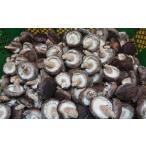 fu.... налог овощи вид .. . Kumamoto префектура человек . город специальный отбор . дерево культивирование сырой ....[.. круг kun средний размер ] 1.2kg 2025 год 10 месяц последняя декада ~2026 год 2 месяц сверху . отправка предположительно сырой .........