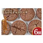 ケーキ カステラ チョコレートケーキ とろけるチョコケーキ