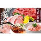 ふるさと納税 牛肉 すき焼き 鹿児島県 枕崎市 定期便3回配送 お楽しみバラエティー OO-0004_ 定期便 黒毛和牛 黒豚 ネギトロ カジキ ハンバーグ トンテキ 人…