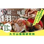 鶏肉 セット 愛媛ブランド地鶏 媛っこ地鶏
