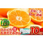ふるさと納税 みかん・柑橘類 熊本県 荒尾市 2025年先行予約 訳あり みかん ひとくちもぎたてみかん 約 10kg (10kg×1箱) S-3Sサイズ 訳あり ご家庭用 熊本県…