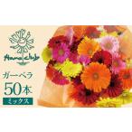 花 苗木 花束 ラッピング付 生花ガーベラミックスの花束 50…