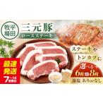 豚肉 ロース 6枚