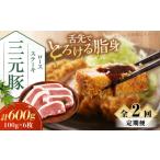 豚肉 ロース 全2回定期便 平田牧場 ロースステーキ 600g