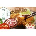 豚肉 ロース 全6回定期便 平田牧場 ロースステーキ 600g