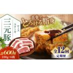 豚肉 ロース 全12回定期便 平田牧場 ロースステーキ 600g