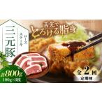豚肉 ロース 全2回定期便 平田牧場 ロースステーキ 800g