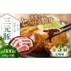 豚肉 ロース 全3回定期便 平田牧場 ロースステーキ 800g