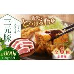 豚肉 ロース 全6回定期便 平田牧場 ロースステーキ 800g