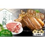 豚肉 ロース 全2回定期便 平田牧場 ロースブロック 1.2kg