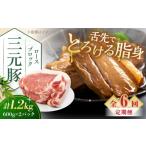 豚肉 ロース 全6回定期便 平田牧場 ロースブロック 1.2kg