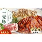 豚肉 ロース 全2回定期便 平田牧場 肩ロースブロック 600g
