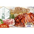 豚肉 ロース 全12回定期便 平田牧場 肩ロースブロック 600g