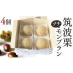 fu.... налог кекс * кастелла Montblanc Ibaraki префектура Sakura река город . волна каштан. маленький Montblanc примерно 20g × 4 шт мир каштан мир каштан паста marron крем кондитерские изделия конфеты oli...