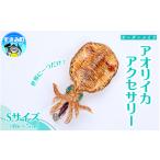 手芸 アオリイカ アクセサリー オーダーメイド