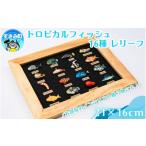 手芸 トロピカルフィッシュ16種 レリーフ