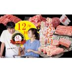 牛肉 ステーキ 定期便 連続12回 佐賀牛 やまとフーズ