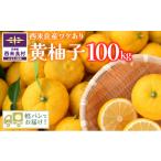 みかん 柑橘類 ゆず 訳あり 黄柚子 100kg