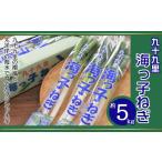 fu.... налог овощи вид лук порей Chiba префектура гора . город предшествующий предварительный заказ 12 месяц сверху . из отправка 9 10 9 .. . способ . futoshi flat .. морская вода .... бренд лук-батун 9 10 9 . море .. лук порей примерно 5kg |.....