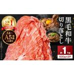 ふるさと納税 牛肉 焼肉・バーベキュー 熊本県 天草市 S001-001-03_ 3月発送 A4〜A5等級 黒毛和牛 切り落とし 1kg（500g×2P） 2026年3月より順次発送