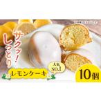 ケーキ カステラ NO.1レモンケーキ10個セット