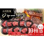 牛肉 セット 山川牧場ジャー黒牛10種盛