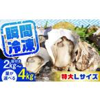 ふるさと納税 牡蠣 広島県 江田島市 特選 牡蠣三昧 瞬間冷凍 広島牡蠣 殻付き3kg カキ かき 広島 料理 簡単 魚介類 海鮮 ギフト 広島県産 江田島市/株式会…
