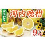ふるさと納税 みかん・柑橘類 愛媛県 愛南町 先行予約 数量限定 訳あり 河内晩柑 樹齢 30年以上 9kg （ サイズ ミックス ） 7000円 みかん mikan 蜜柑 ミカン …
