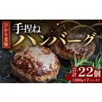 ふるさと納税 豚肉 ハンバーグ 鹿児島県 南大隅町 鹿児島県産 ひかり麦豚 手捏ねハンバーグ セット サイズ違い 大中小 計22個 | 肉 お肉 にく 豚肉 黒豚 かご…