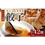 ふるさと納税 肉 鹿児島県 南大隅町 鹿児島県産 ひかり麦豚 ちょっと大きな 餃子 42個 セット | 肉 お肉 にく 豚肉 黒豚 かごしま黒豚 ミンチ 肉汁 ジューシー…
