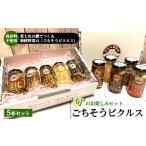 加工品等 ごちそうピクルス 5本セット ピクルス
