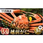 カニ ずわいガニ 訳あり 茹で 越前ズワイ蟹