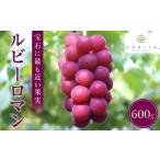 ふるさと納税 ぶどう 石川県 金沢市 先行予約 ルビーロマン 600g 葡萄 ぶどう ブドウ 高級 フルーツ 果物 石川 金沢 加賀百万石 加賀 百万石 北陸 北陸復興 …