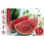 スイカ 2027年6月中旬~発送 小玉スイカ 1kg