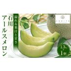 ふるさと納税 メロン メロン青肉 石川県 金沢市 レビューキャンペーン実施中 2025年 先行予約 石川アールスメロン 1.3kg×1個 メロン フルーツ 果物 石川 金…