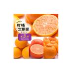 みかん 柑橘類 季節の柑橘定期便A 計3回