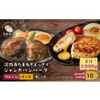 ふるさと納税 牛肉 ハンバーグ 兵庫県 淡路市 淡路島たまねぎどっさりジャンボハンバーグ プレーン&チーズセット 200g×10個 淡路島 ハンバーグ 冷凍