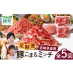 豚肉 セット 豚こま&ミンチ1.5kg 全5回定期便