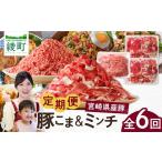 豚肉 セット 豚こま&ミンチ1.5kg 全6回定期便