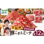 豚肉 セット 豚こま&ミンチ1.5kg 全12回定期便