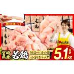 鶏肉 セット 産若鶏切身5.1kg 肉 若鳥