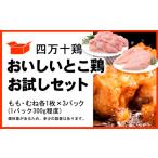 寄せ鍋 中 四万十鶏 セット 1800g