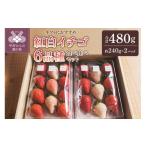 ふるさと納税 いちご 山梨県 甲府市  2025-2026発送分 紅白イチゴ6品種食べ比べセット いちご イチゴ 苺 紅白イチゴ 紅白いちご 紅白苺 先行予約 食べ比べ セ…