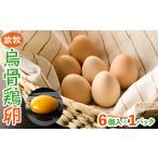 卵 鶏 烏骨鶏等 放牧烏骨鶏卵 6個入×1パック