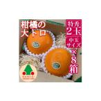 果物類 みかん お試し規格 柑橘の大トロ ハウス