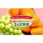 ふるさと納税 みかん・柑橘類 愛媛県 - 愛媛の旬のフルーツ3回定期便 甘平・せとか・シャインマスカット 柑橘 かんきつ みかん 蜜柑 シャインマスカット マス…