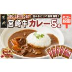 牛肉 カレー シチュー トプカ 宮崎牛カレー5食セット